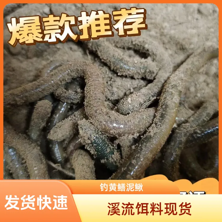 溪流饵料饵料钓黄鳝饵料现货下网养殖装备