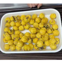 白莺山古树帝王菊白茶龙珠