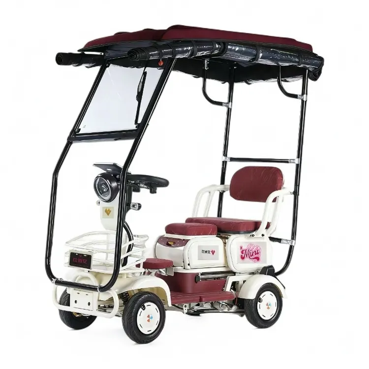 BYVIN/比德文跑马灯+封闭式车棚中老年代步电动四轮车日常出行-L