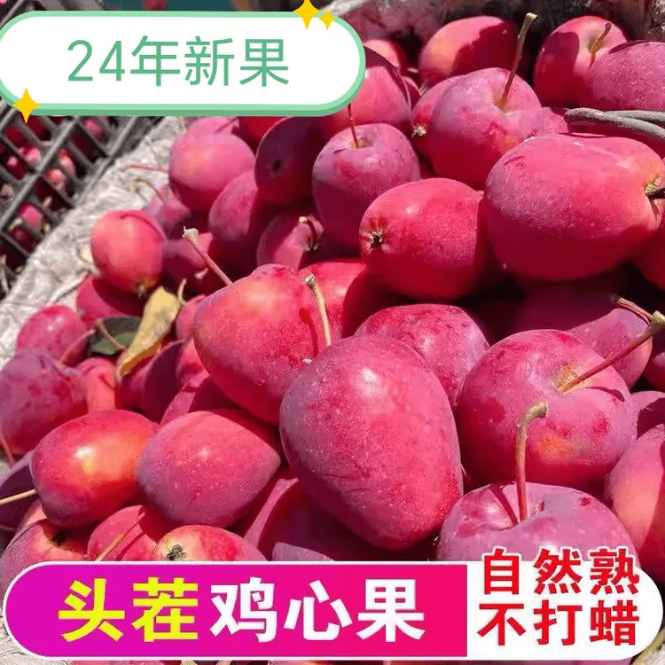 【2025头茬】鸡心果酸甜可口锦绣海棠果山西发货当季酸甜脆