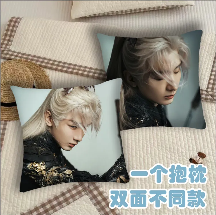 【成毅抱枕】双面diy沙发靠垫折叠超高端定制周边