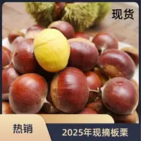 【买3斤送2斤】2025年新鲜现摘高山板栗甘甜清脆生栗子板栗