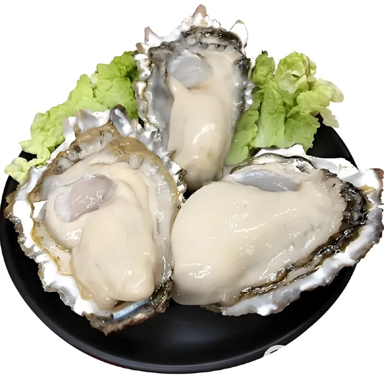 现剥【大连】蚝肉2斤4罐20-25只每罐250克半斤3-6只顺丰生蚝海鲜