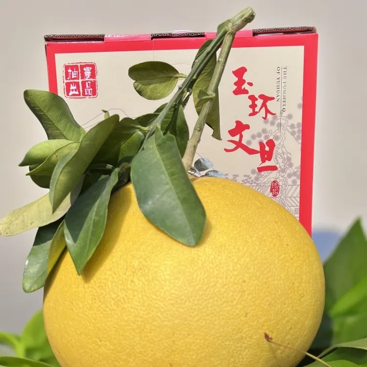玉环厚薄皮文旦柚酸甜可口~原产地直发【1~5天内发货】