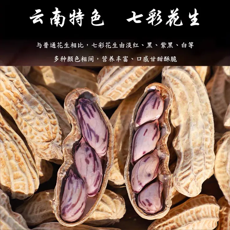 农科院云南七彩花生咸干水煮熟花生带壳彩色休闲零食湿烤味特产