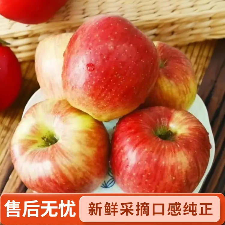 2025头茬寺河山红露苹果儿童孕妇解馋水果脆甜无酸自然成熟新鲜