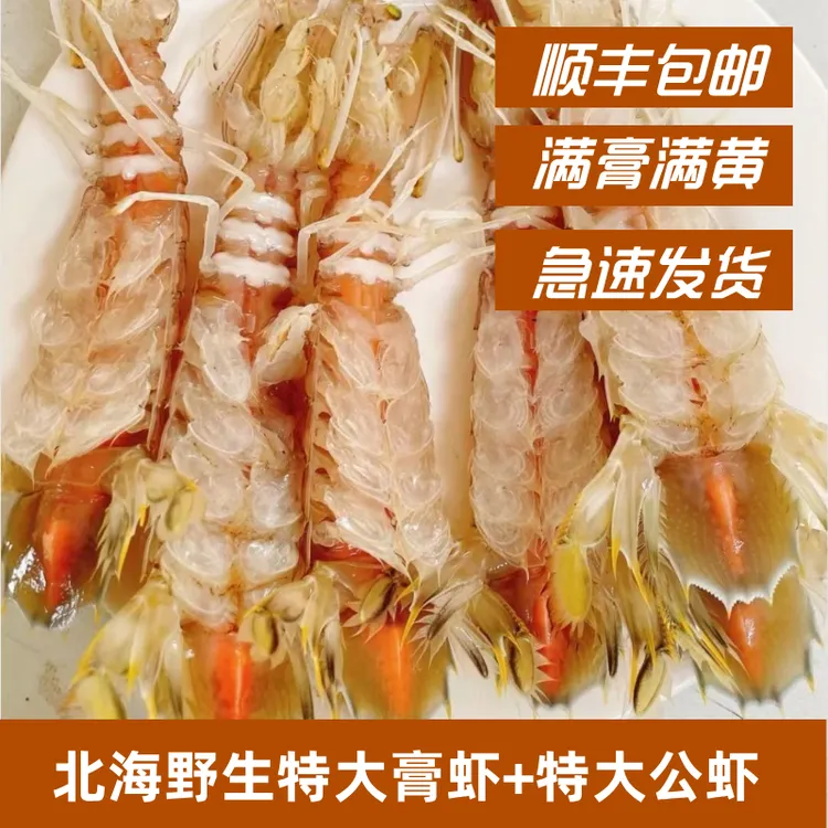 大号公母混装皮皮虾带膏特大膏虾公虾爬爬虾濑尿虾鲜货顺丰发货