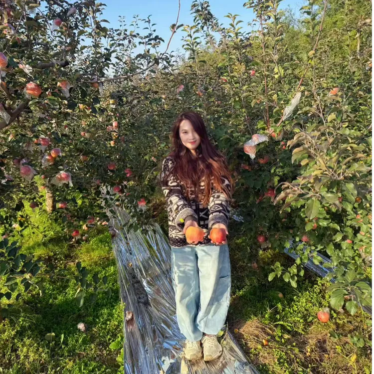 陕西高山冰糖心红富士苹果新鲜水果丑苹果脆甜多汁糖心条纹红苹果