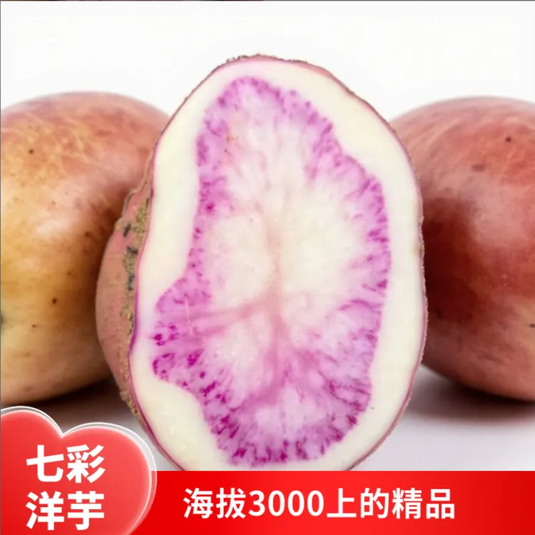 云南七彩洋芋云南土豆花心洋芋丽江紫洋芋红心紫色土豆辅食首选