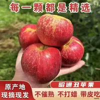 云南昭通丑苹果新鲜水果昭通冰糖心丑苹果新鲜平果，产地水果直发