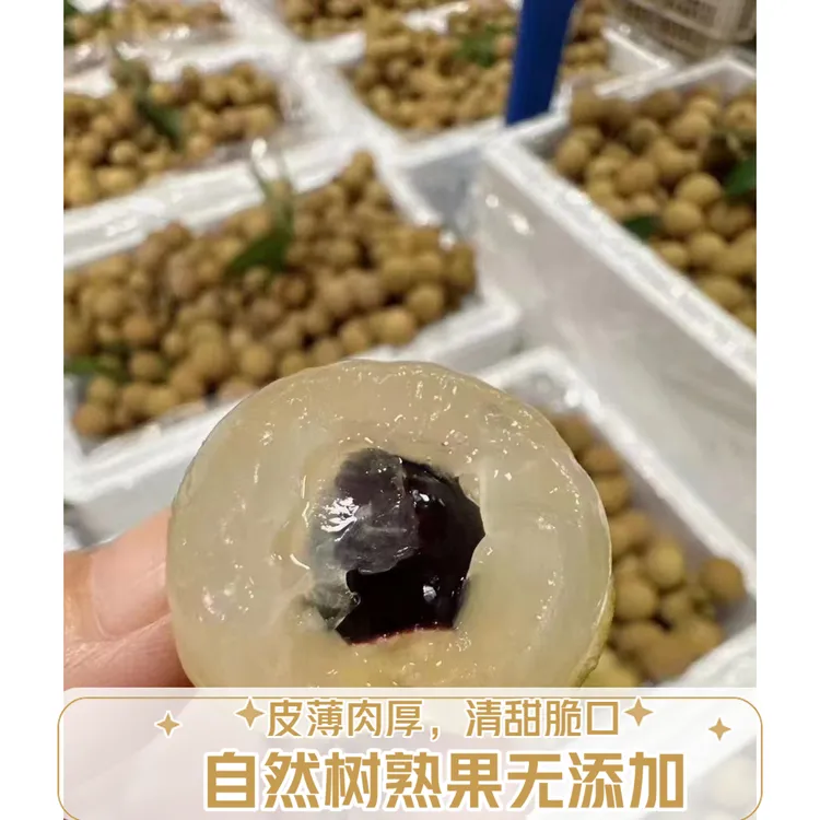 【顺丰包邮】高州石硖龙眼皮薄肉厚核小清甜脆口老树果自然成熟