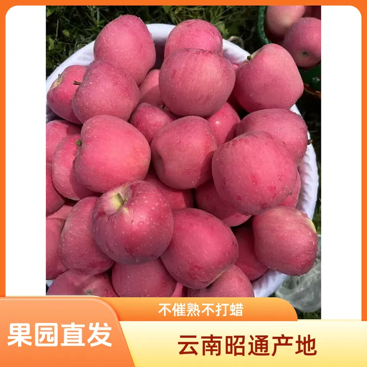 云南昭通丑苹果现摘现发脆甜多汁新鲜水果