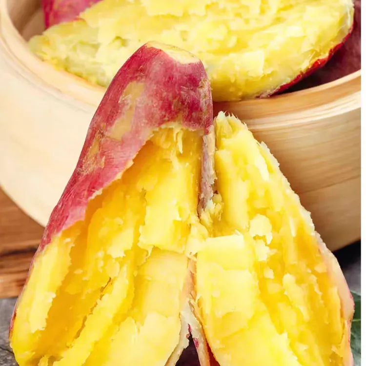 陕西正宗板栗红薯沙地现挖新鲜番薯农家自种小香山芋甜粉面地瓜