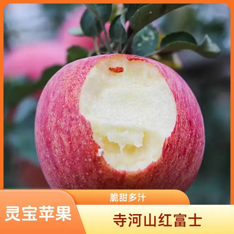 河南灵宝寺河山红富士苹果脆甜多汁皮薄肉厚产地直发坏果包赔