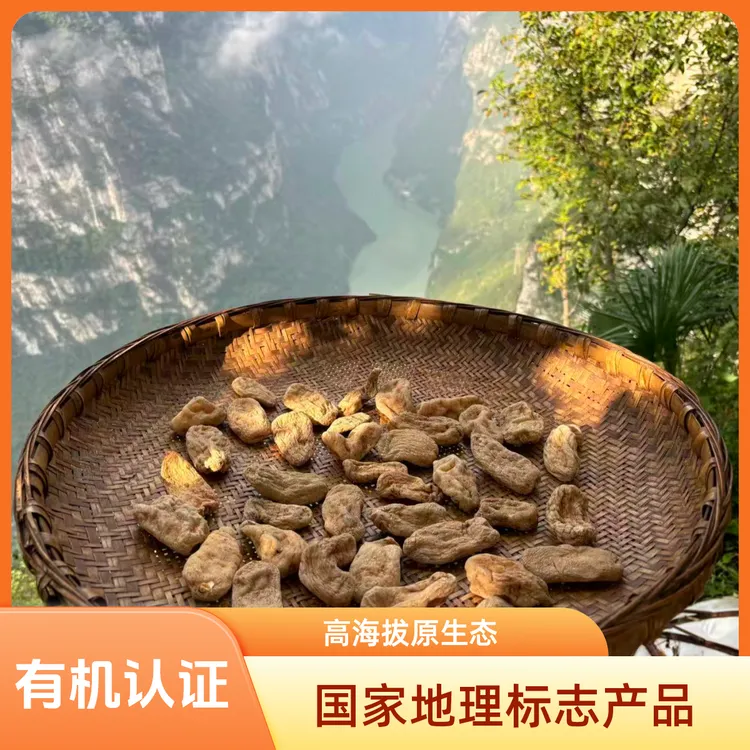 乌天麻金口河有机天麻深山老林原生态250克