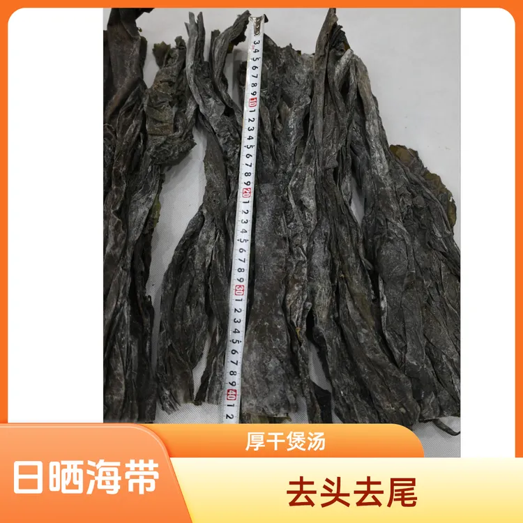 福建日晒海带正宗中段去头去尾日晒厚海带适合煲汤的干货海带丝