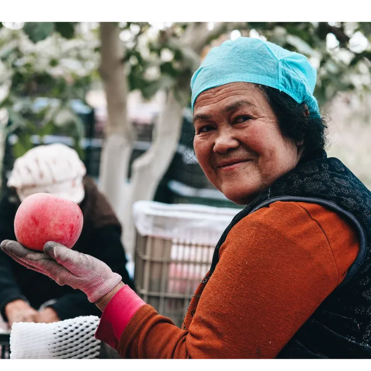 新疆阿克苏红旗坡优质果园冰糖心晚熟红富士产地直发（光果）