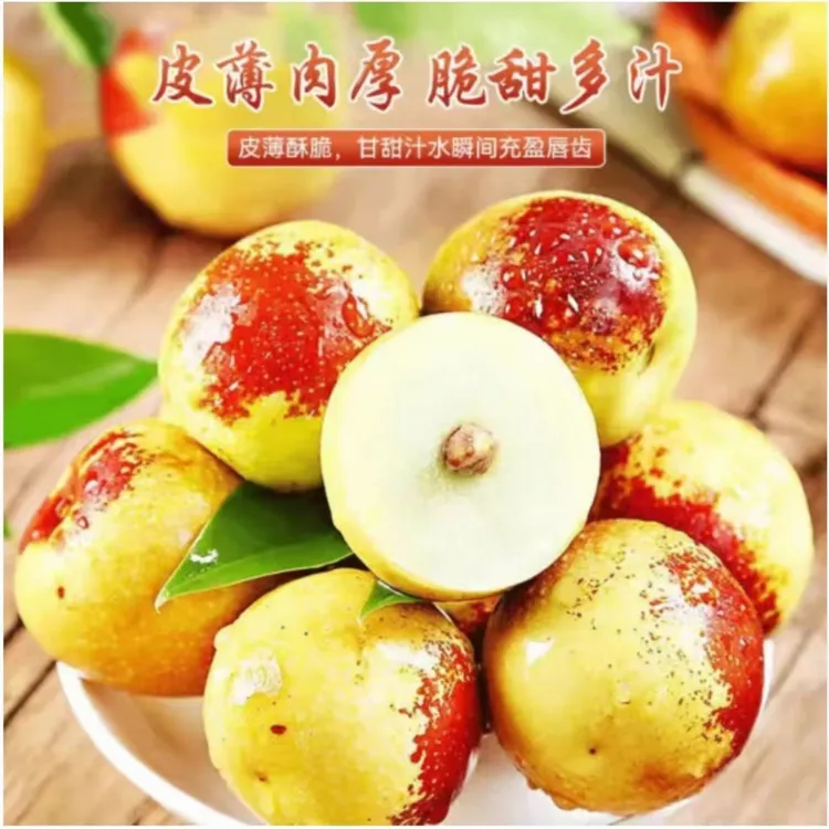 【顺丰/京东包邮】陕西正宗大荔冬枣产地直发3斤彩箱装