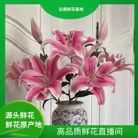颜花【马龙香水百合】云南鲜花 任意两单鲜花升级顺丰/空运