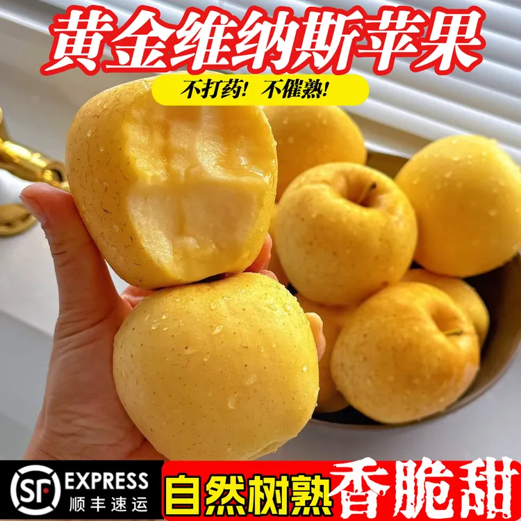 【顺丰发货】大凉山维纳斯黄金苹果纯甜无酸脆甜天然果锈果园直供