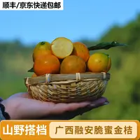 【山野搭档】广西融安金桔第三代脆蜜金桔2斤装单果27g+