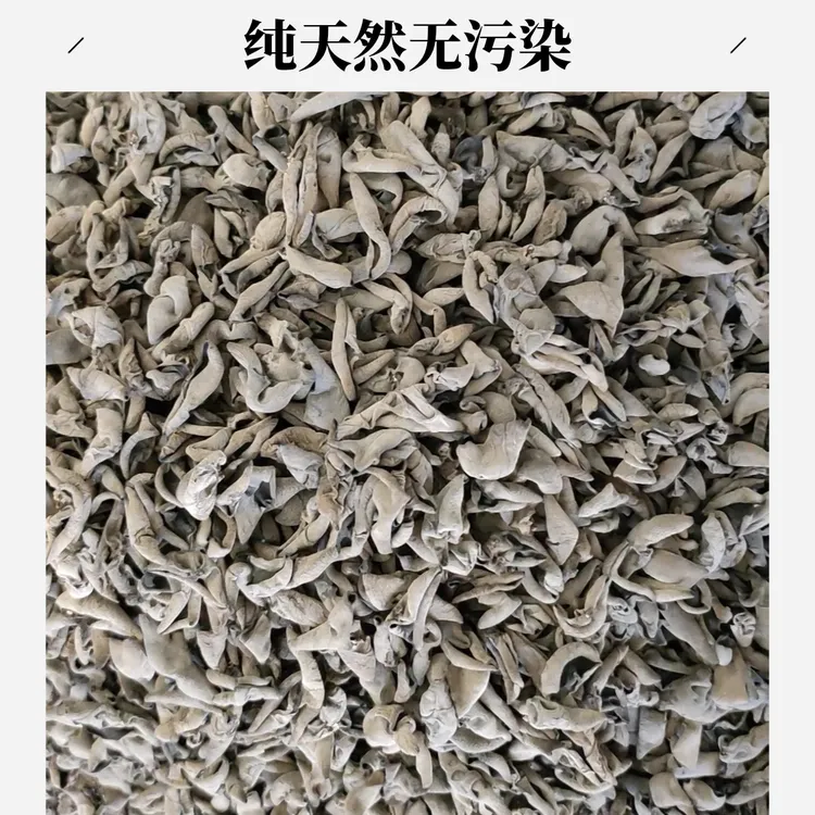 舟曲特产青岗黑木耳