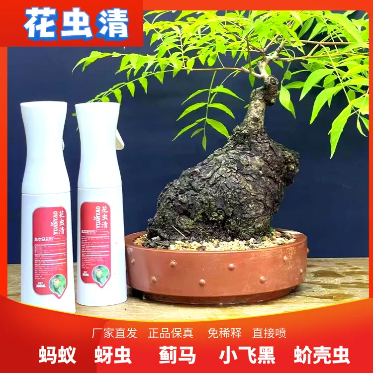 花虫清蚂蚁蚜虫蓟马小飞黑蚧壳虫专用
