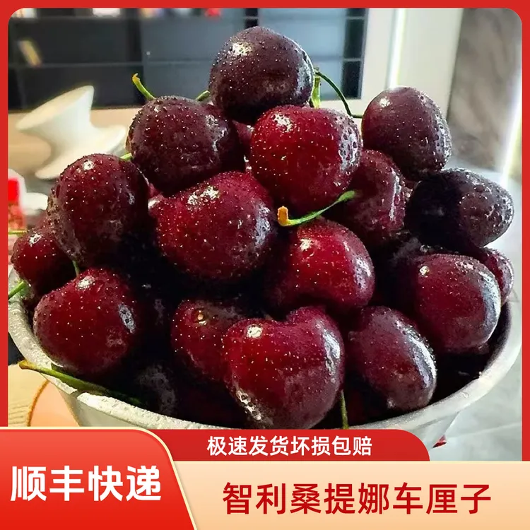 【顺丰空运坏果包赔】智利桑提娜樱桃车厘子J-JJJJ应季内附果径卡