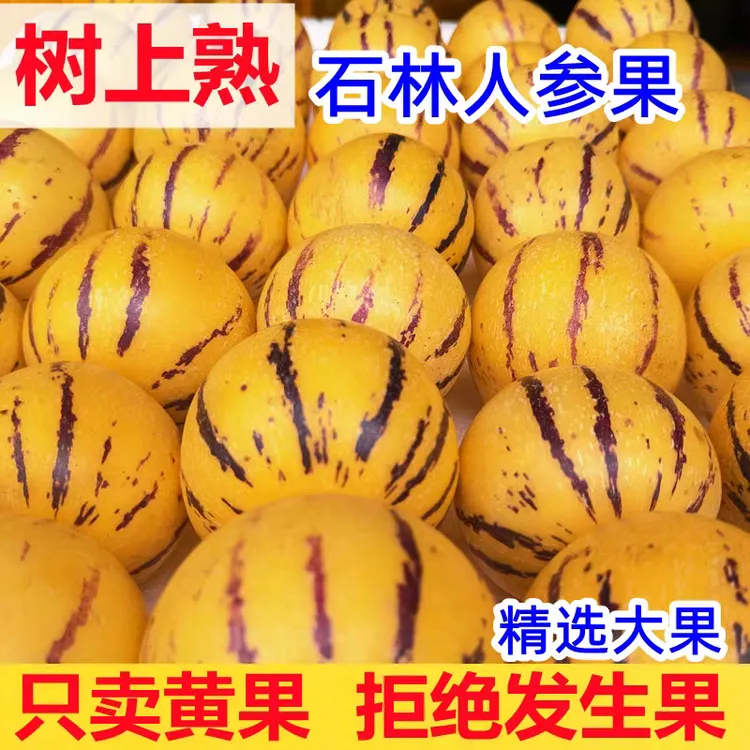 【树上自然熟】云南石林人参圆果黄心水果新鲜大果正宗人叁黄肉水果