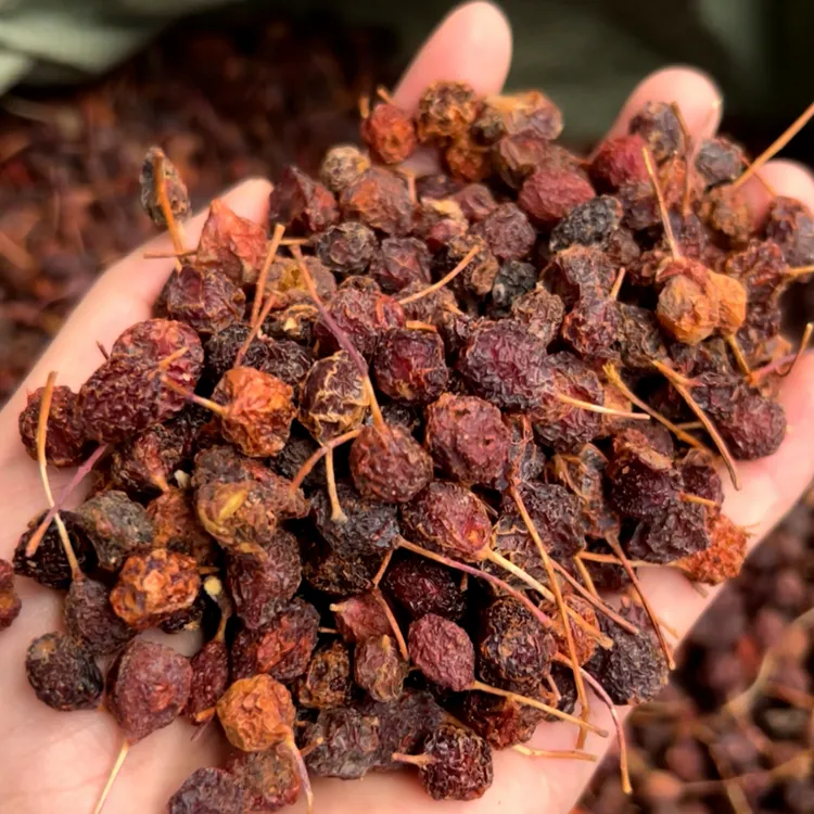 【野生山楂】西藏产地  野生山楂   三通茶原料 煲汤泡水