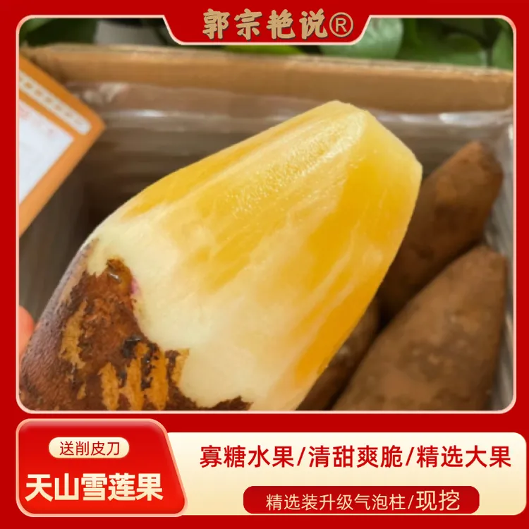 【高原低糖水果】云南天山雪莲果新鲜水果当季整箱脆甜雪连果红黄心