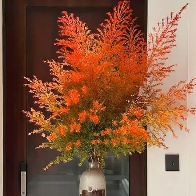 千层金 黄金香柳 （秋天油画色彩鲜艳）  新鲜花材 可水培 可养干花