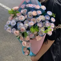 （10枝折射碎冰蓝）任意拍两单升级冷链/顺风/空运 云南鲜花基地