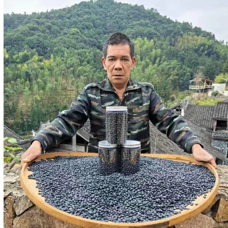 2025新货福建农村自种黑豆黄豆羊须豆农家自产新鲜食用饭豆爬山豆
