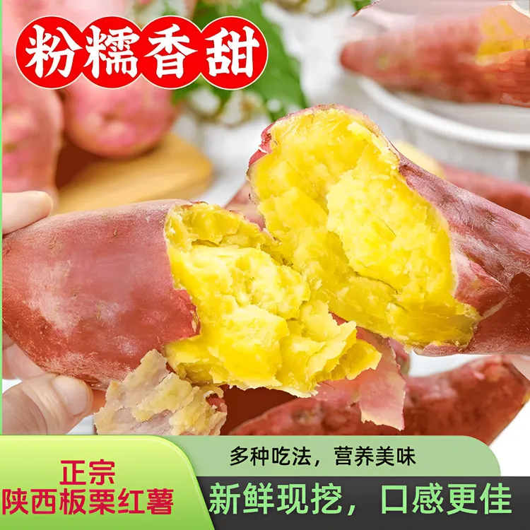 正宗陕西板栗红薯粉面干软糯香甜农家自种沙地红皮蜜薯烤地瓜代餐