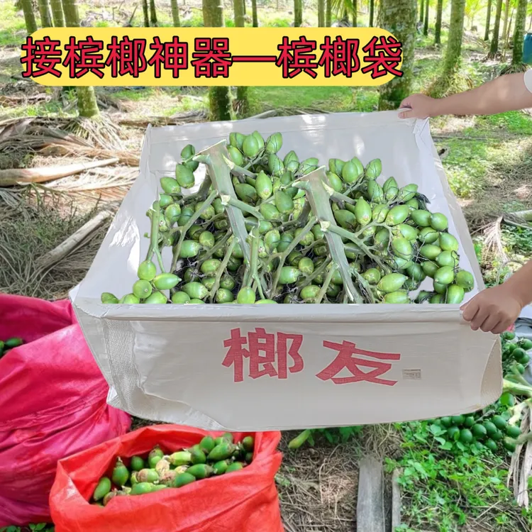 【接槟榔袋】接果神器槟榔果采收