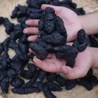 【可试吃两颗】河南焦作正宗熟地黄怀地黄可即食泡水泡酒炖肉500g