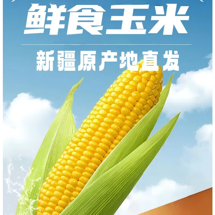 新疆8月采摘头茬黏香黄糯玉米 真空包装营养早餐低脂粗粮