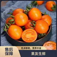 【爆浆黄金圣女果】净果2.5斤/1份 透明盒装 太原晋中吕梁忻州可拍