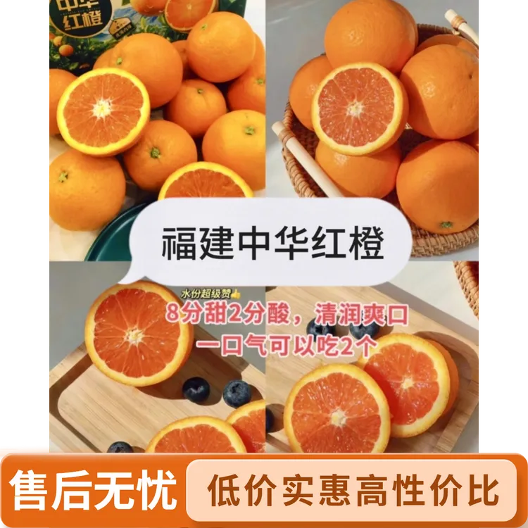 福建中华红肉橙  当季新鲜水果果树现摘大果橙子