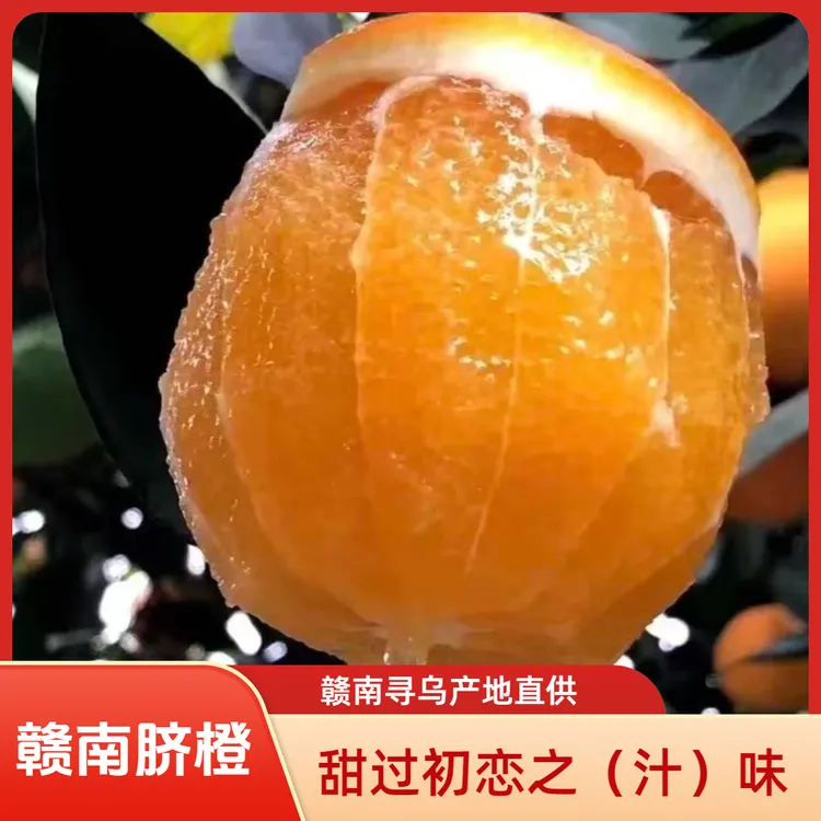 赣南脐橙寻乌原产地脐橙甜橙手剥橙送剥橙器新鲜现摘荒野求生现发