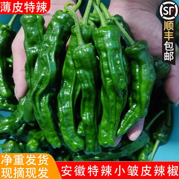【顺丰包邮】特辣辣椒新鲜青椒薄皮超辣小皱皮农家自种应季蔬菜现摘