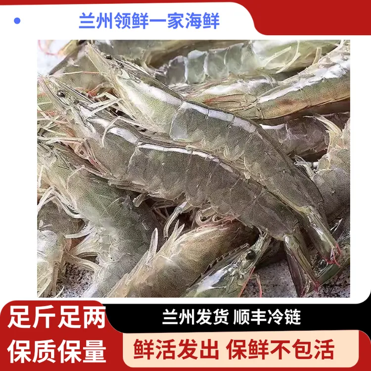兰州领鲜一家 活虾 保鲜不保活（市内打氧发，省内加冰发）