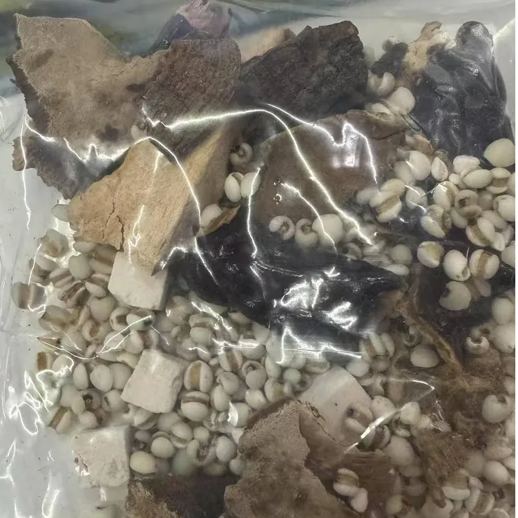 优质 农产品白艺仁米桑黄 灵芝 土茯苓云岭组合 100克