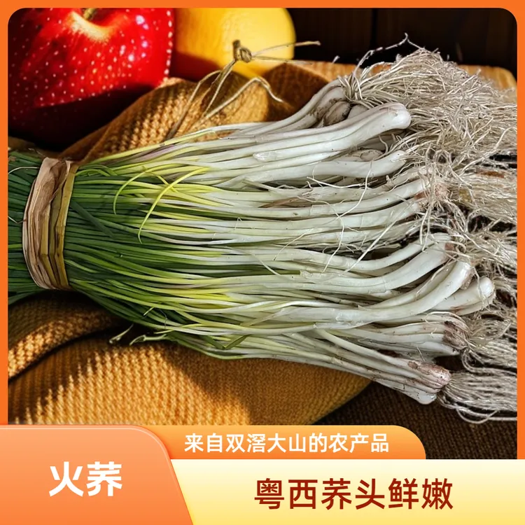广东粤西阳春石湖荞头新鲜荞头现挖现发藠头炒腊肉炒五花肉好搭配