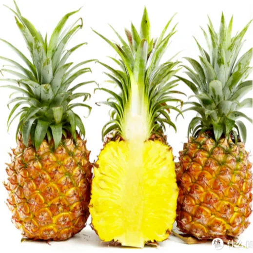 (蚂蚁专属)海南金钻凤梨4.5-5斤（4个装）