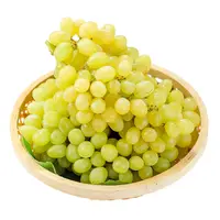 新疆马奶提（无核白） 250g