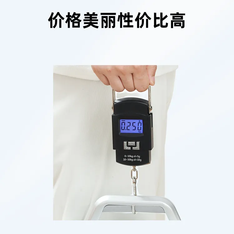 家用迷你称重电子称手提秤便携式高精度弹簧秤快递称小秤行李