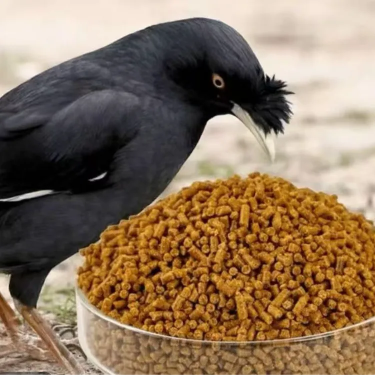 主食专用纯手工八哥，鹩哥饲料（注重品牌的勿拍）
