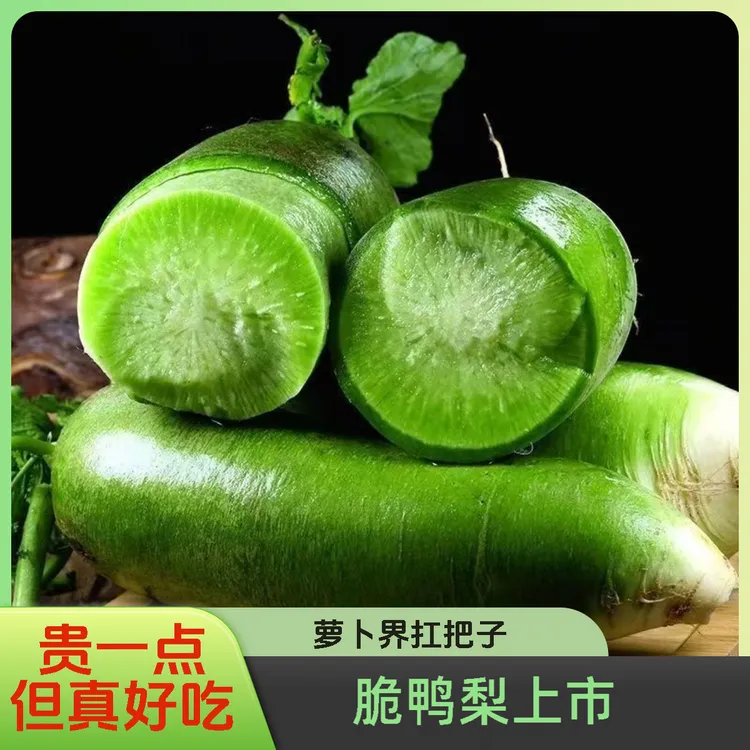 脆鸭梨水果萝卜-贵一点，但真好吃